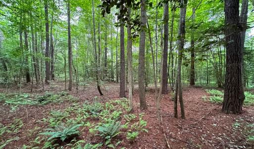 Photo #15 of Off Meherrin Rd, Courtland, VA 115.0 acres