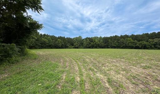 Photo #18 of Off Meherrin Rd, Courtland, VA 115.0 acres