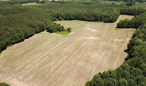 Photo #20 of Off Meherrin Rd, Courtland, VA 115.0 acres