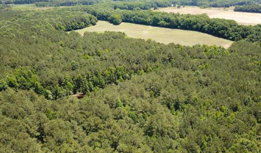 Photo #23 of Off Meherrin Rd, Courtland, VA 115.0 acres