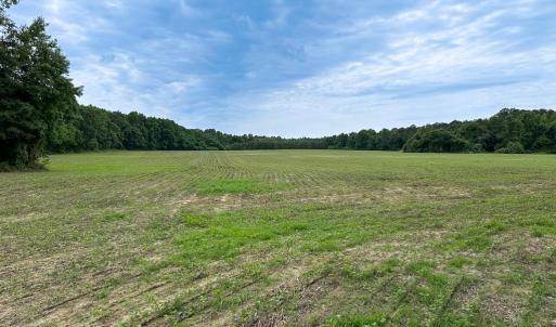 Photo #24 of Off Meherrin Rd, Courtland, VA 115.0 acres