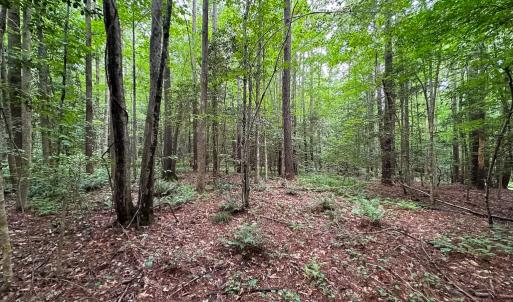 Photo #30 of Off Meherrin Rd, Courtland, VA 115.0 acres