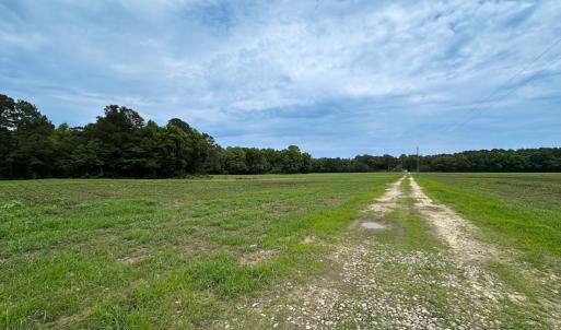 Photo #34 of Off Meherrin Rd, Courtland, VA 115.0 acres