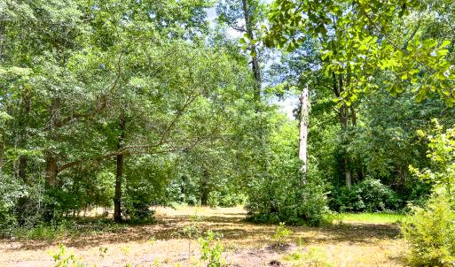 Photo #23 of 1601 Railway Lane, Lanexa, VA 6.2 acres