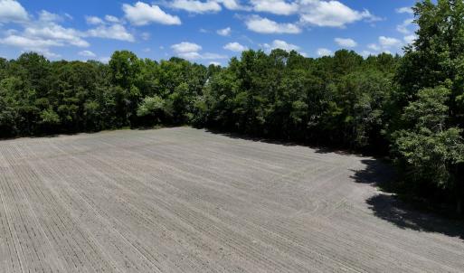 Photo #11 of 1125 Cupela Rd, Walstonburg, NC 38.0 acres