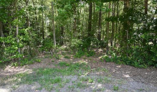 Photo #12 of 1125 Cupela Rd, Walstonburg, NC 38.0 acres