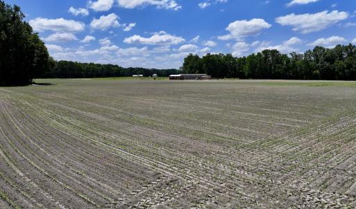 Photo #13 of 1125 Cupela Rd, Walstonburg, NC 38.0 acres