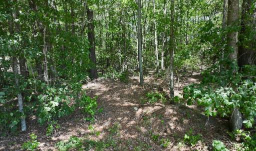 Photo #9 of 1125 Cupela Rd, Walstonburg, NC 38.0 acres