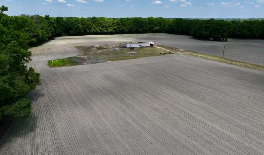 Photo #24 of 1125 Cupela Rd, Walstonburg, NC 38.0 acres