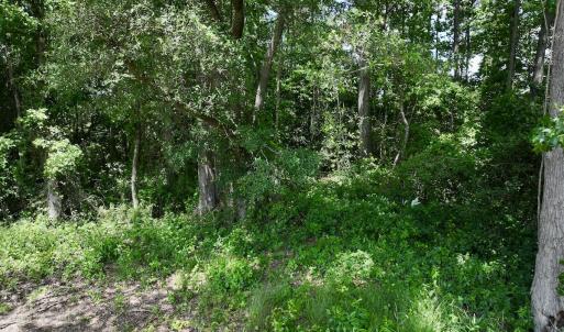 Photo #39 of 1125 Cupela Rd, Walstonburg, NC 38.0 acres