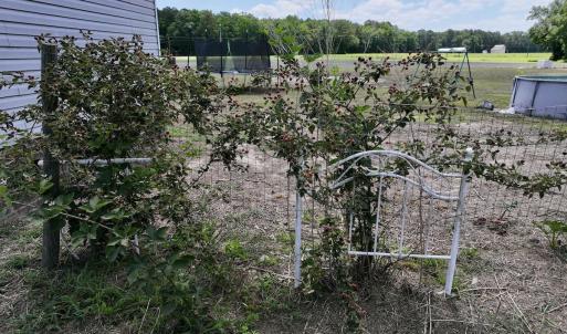 Photo #40 of 1125 Cupela Rd, Walstonburg, NC 38.0 acres