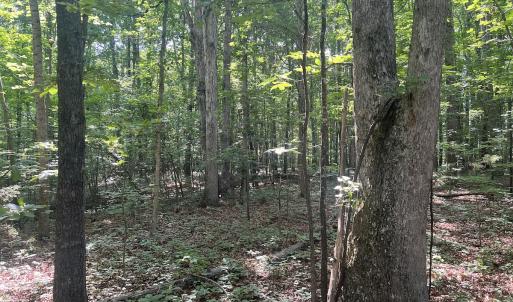 Photo #4 of 0001 Deer Run Trail, Mebane, NC 1.0 acres