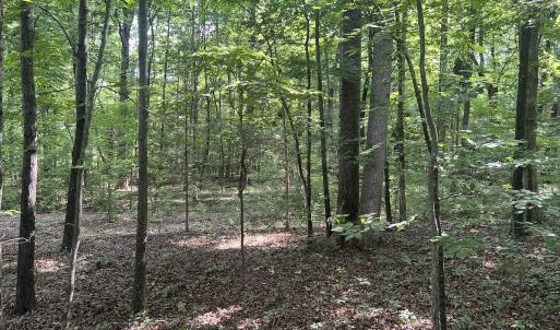 Photo #7 of 0001 Deer Run Trail, Mebane, NC 1.0 acres