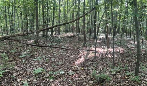 Photo #9 of 0001 Deer Run Trail, Mebane, NC 1.0 acres