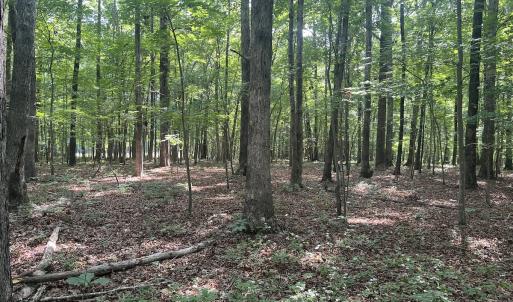 Photo #10 of 0001 Deer Run Trail, Mebane, NC 1.0 acres