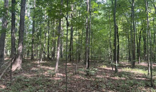 Photo #11 of 0001 Deer Run Trail, Mebane, NC 1.0 acres