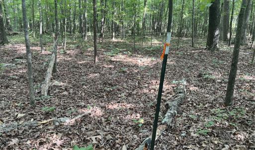 Photo #12 of 0001 Deer Run Trail, Mebane, NC 1.0 acres