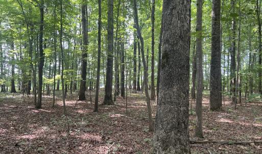 Photo #4 of 0000 Deer Run Trail, Mebane, NC 3.8 acres