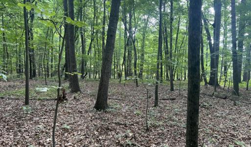 Photo #6 of 0000 Deer Run Trail, Mebane, NC 3.8 acres