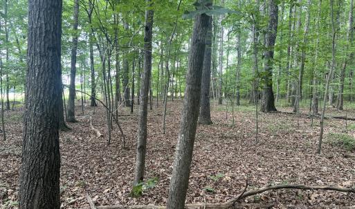 Photo #9 of 0000 Deer Run Trail, Mebane, NC 3.8 acres