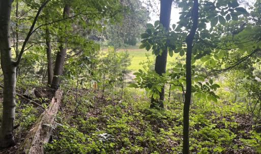 Photo #10 of 0000 Deer Run Trail, Mebane, NC 3.8 acres