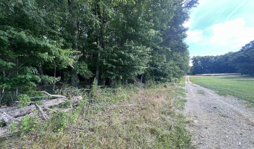 Photo #12 of 0000 Deer Run Trail, Mebane, NC 3.8 acres