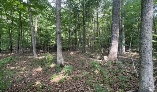 Photo #18 of 0000 Deer Run Trail, Mebane, NC 3.8 acres