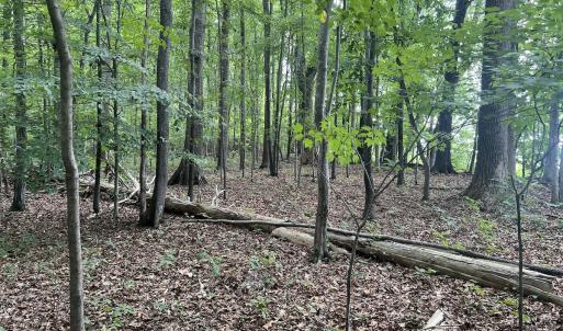 Photo #20 of 0000 Deer Run Trail, Mebane, NC 3.8 acres