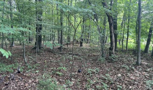 Photo #22 of 0000 Deer Run Trail, Mebane, NC 3.8 acres