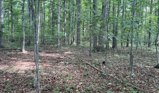 Photo #23 of 0000 Deer Run Trail, Mebane, NC 3.8 acres