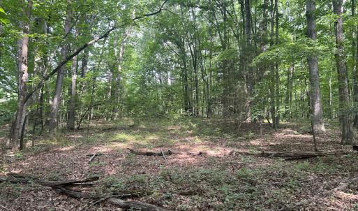 Photo #24 of 0000 Deer Run Trail, Mebane, NC 3.8 acres