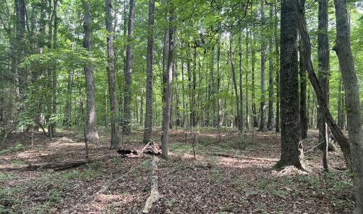 Photo #25 of 0000 Deer Run Trail, Mebane, NC 3.8 acres