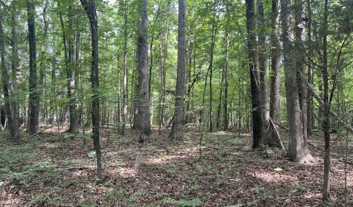 Photo #26 of 0000 Deer Run Trail, Mebane, NC 3.8 acres