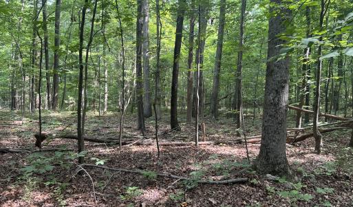 Photo #28 of 0000 Deer Run Trail, Mebane, NC 3.8 acres