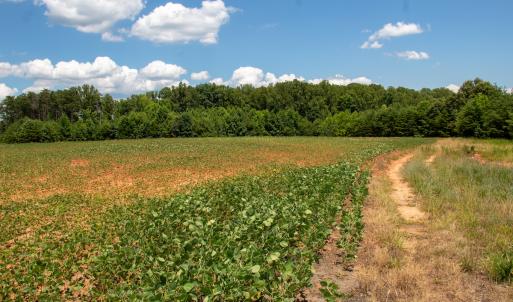 Photo #6 of Off E Elkhorn Rd, Java, VA 34.4 acres