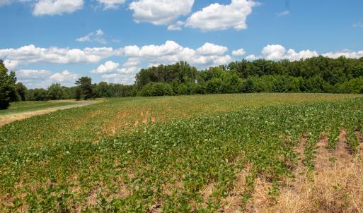 Photo #8 of Off E Elkhorn Rd, Java, VA 34.4 acres