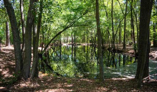 Photo #16 of SOLD property in 681 Griffin Rd, Lillington, NC 10.1 acres