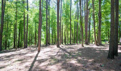 Photo #17 of SOLD property in 681 Griffin Rd, Lillington, NC 10.1 acres