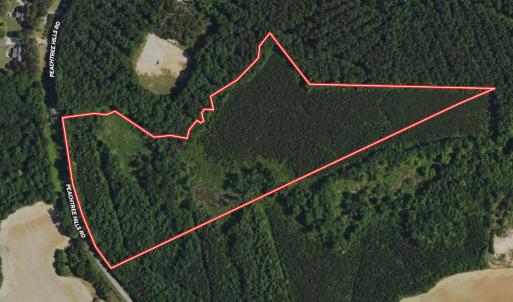 Photo #1 of 11 Peachtree Hills Road, Spring Hope, NC 20.0 acres