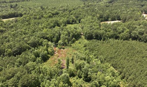Photo #16 of 11 Peachtree Hills Road, Spring Hope, NC 20.0 acres
