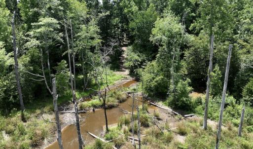 Photo #18 of 11 Peachtree Hills Road, Spring Hope, NC 20.0 acres