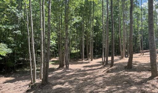 Photo #26 of 11 Peachtree Hills Road, Spring Hope, NC 20.0 acres