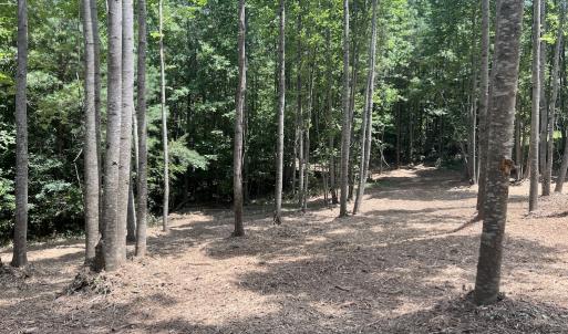 Photo #27 of 11 Peachtree Hills Road, Spring Hope, NC 20.0 acres