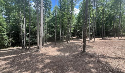 Photo #28 of 11 Peachtree Hills Road, Spring Hope, NC 20.0 acres