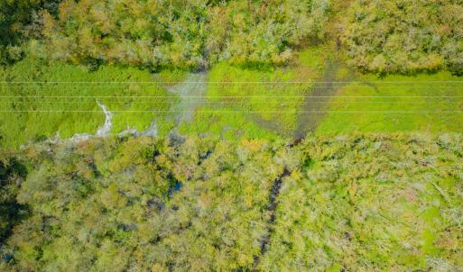 Photo #17 of Off Buck Swamp Road, Pikeville, NC 30.5 acres