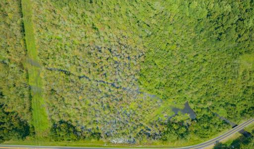 Photo #23 of Off Buck Swamp Road, Pikeville, NC 30.5 acres