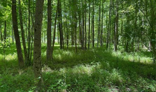 Photo #11 of 2910 Hills Neck Road, Ernul, NC 1.9 acres