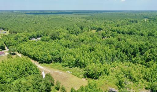 Photo #12 of 2910 Hills Neck Road, Ernul, NC 1.9 acres