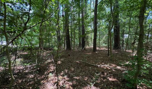 Photo #13 of 2910 Hills Neck Road, Ernul, NC 1.9 acres