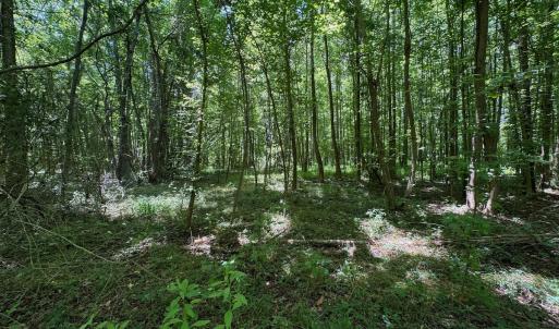 Photo #15 of 2910 Hills Neck Road, Ernul, NC 1.9 acres